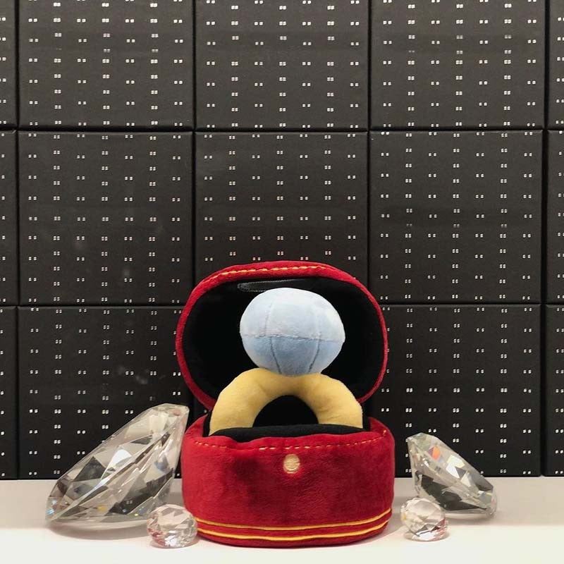 Diamond Ring Box Interactive Dog Toy