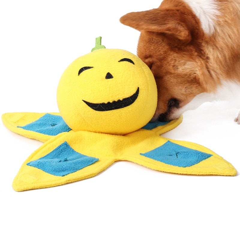 Pumpkin Interactive Nosework Toy