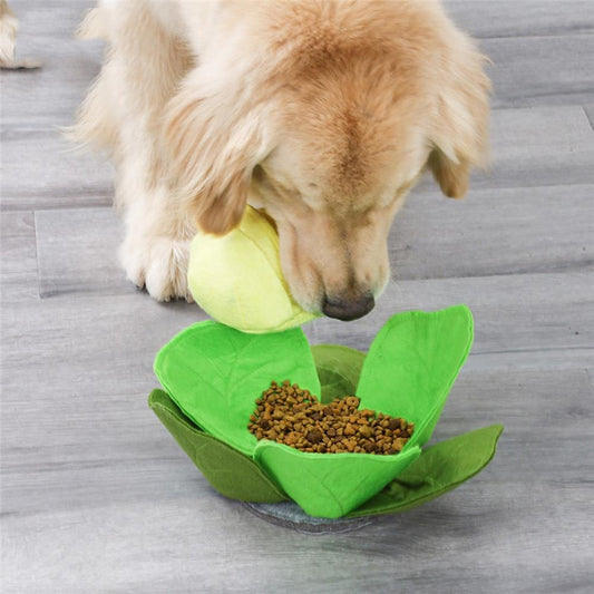 Cabbage Interactive Nosework Toy