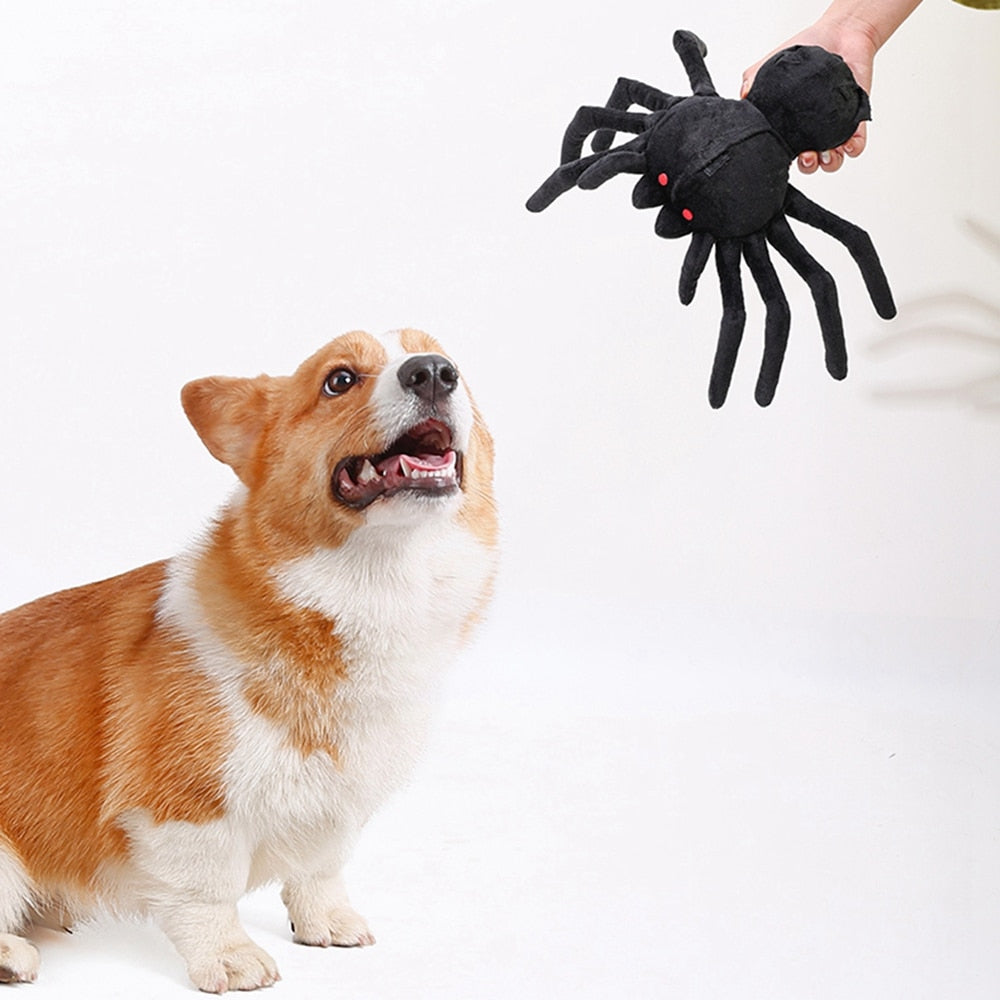 Spider Interactive Nosework Toy