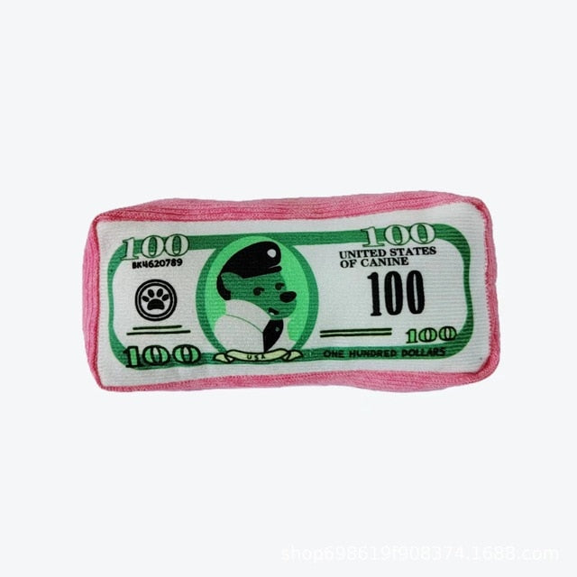 Money Stack Squeaky Plush Dog Toy