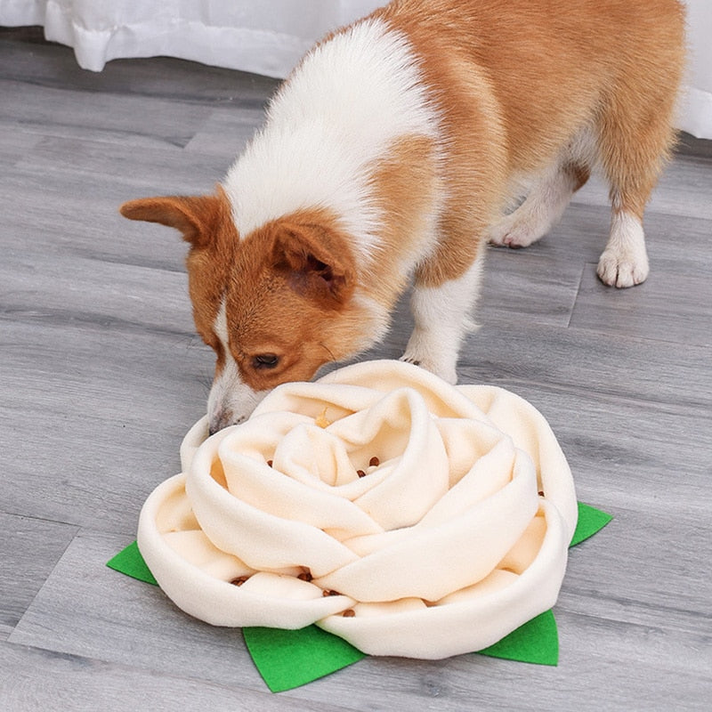 What's a snuffle mat for dogs? You'll love these cute toys – Store For