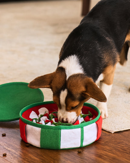Gift Box Nosework Snuffle Mat Toy