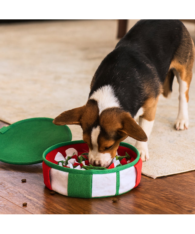 Gift Box Nosework Snuffle Mat Toy