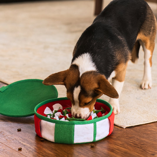 Gift Box Nosework Snuffle Mat Toy