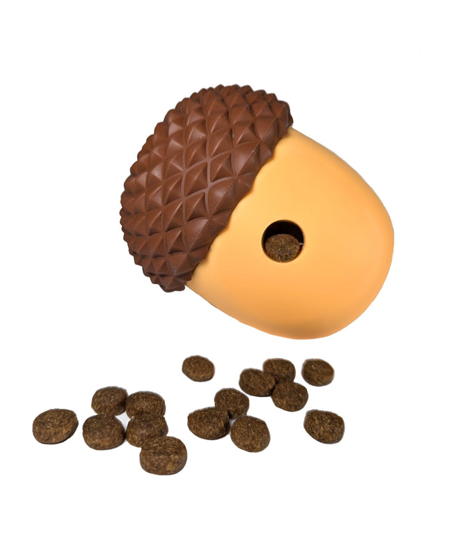 Acorn Slow Feeder & Treat Dispenser Toy