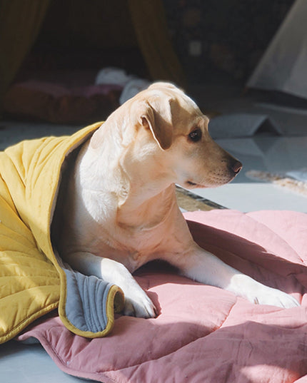 Cozy Leaf Blanket Dog Mat Bed