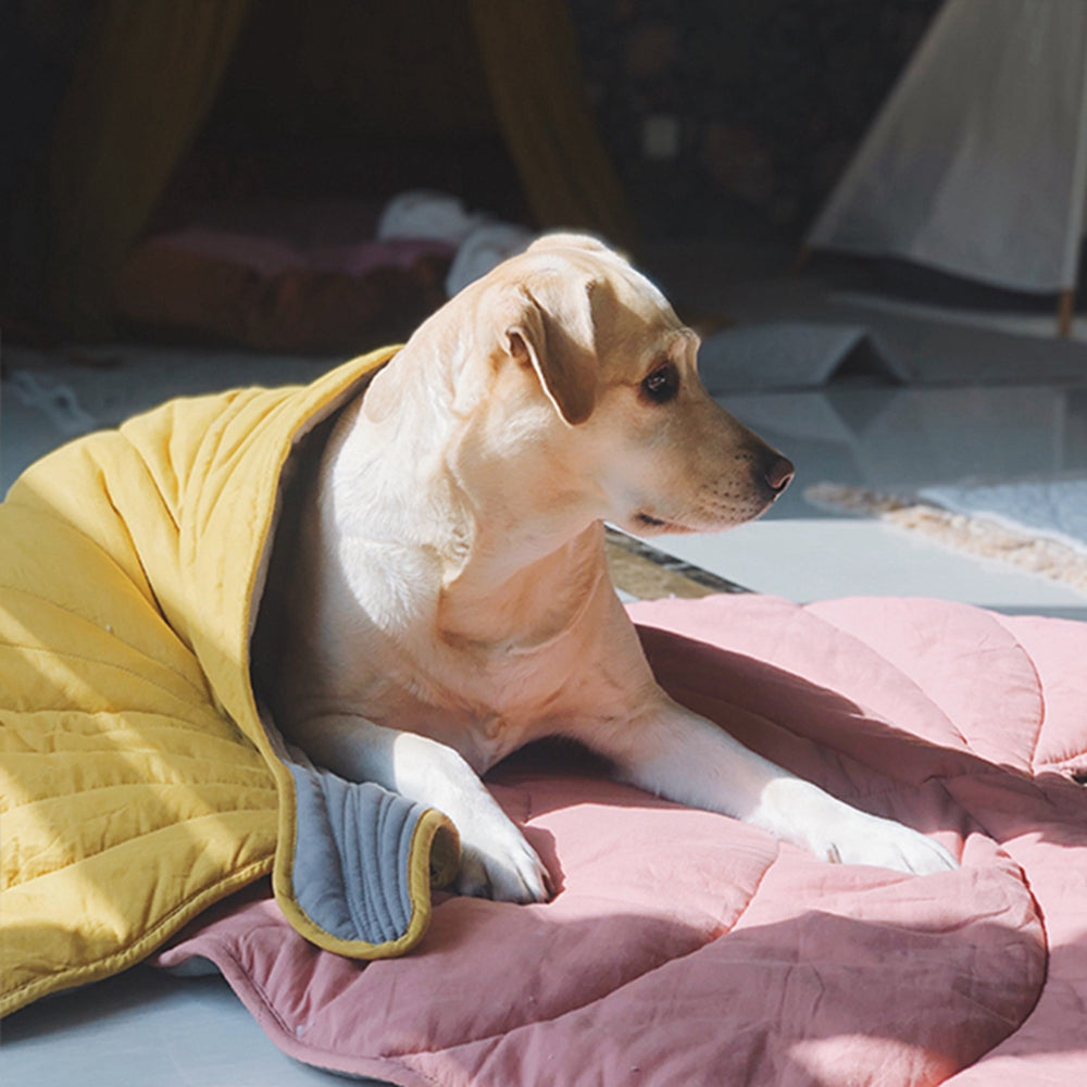 Cozy Leaf Blanket Dog Mat Bed