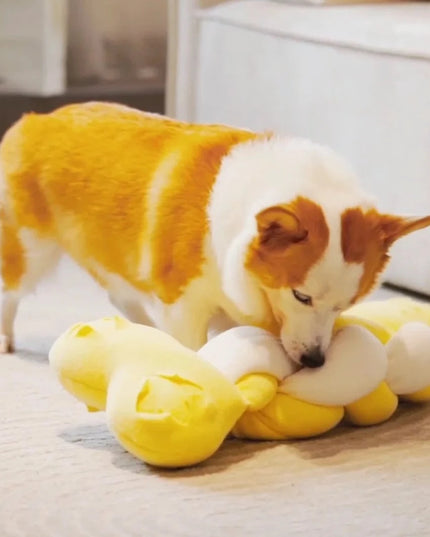 Big Bone Interactive Nosework Dog Toy