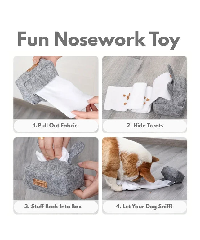 Tissue Box Nosework Dog Toy