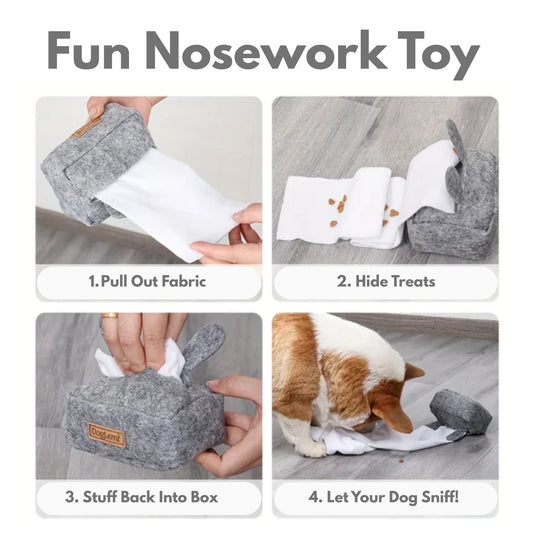 Tissue Box Nosework Dog Toy