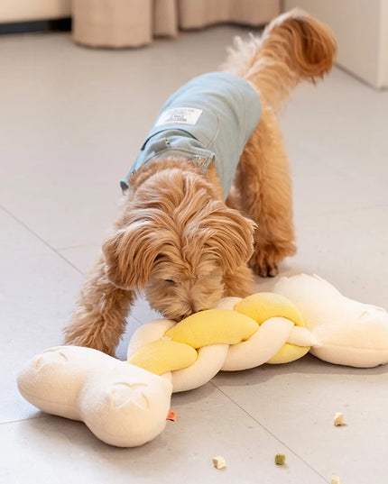 Big Bone Interactive Nosework Dog Toy