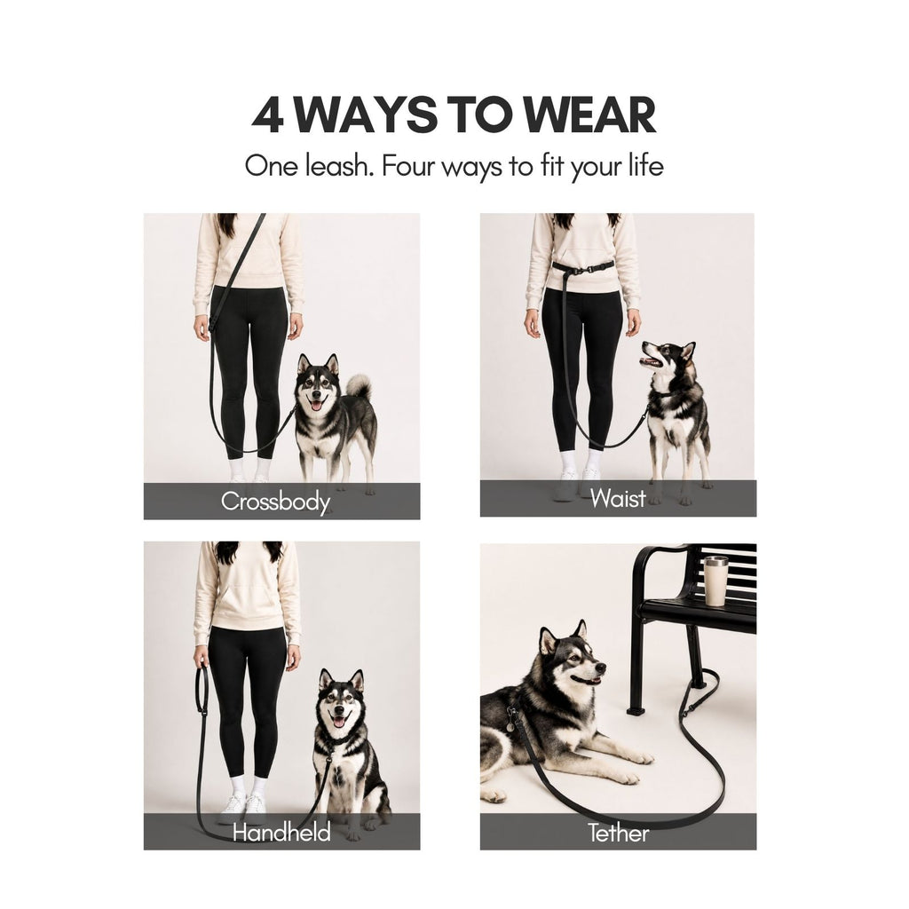WOOFELITE Hands-Free Waterproof Dog Leash
