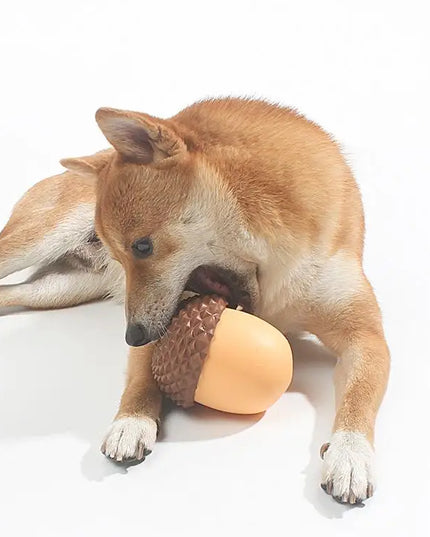 Acorn Slow Feeder & Treat Dispenser Toy