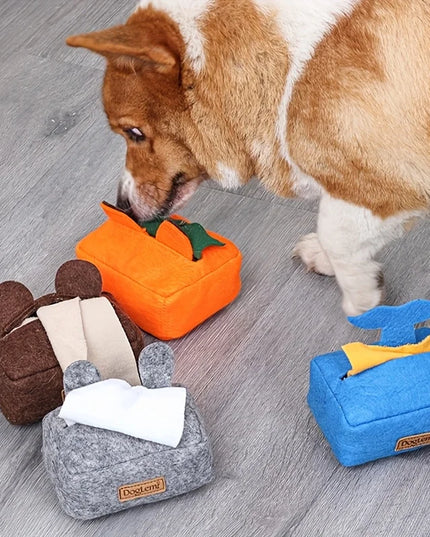 Tissue Box Nosework Dog Toy
