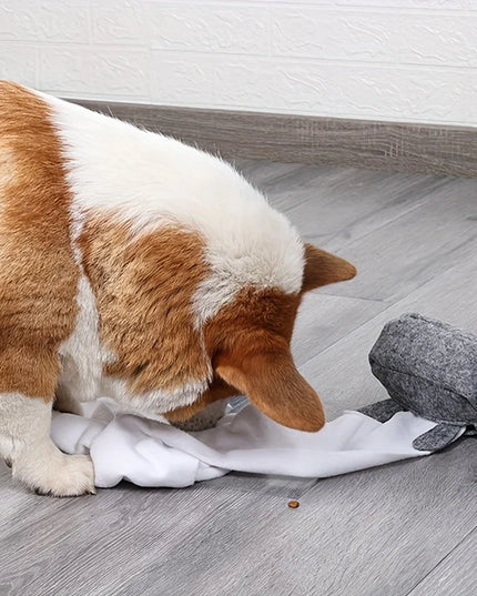 Tissue Box Nosework Dog Toy