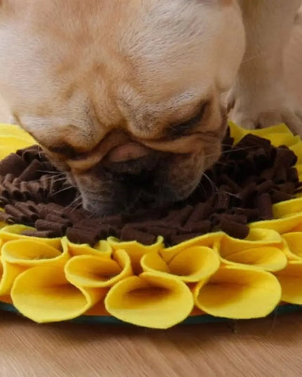 Sunflower Nosework Snuffle Mat