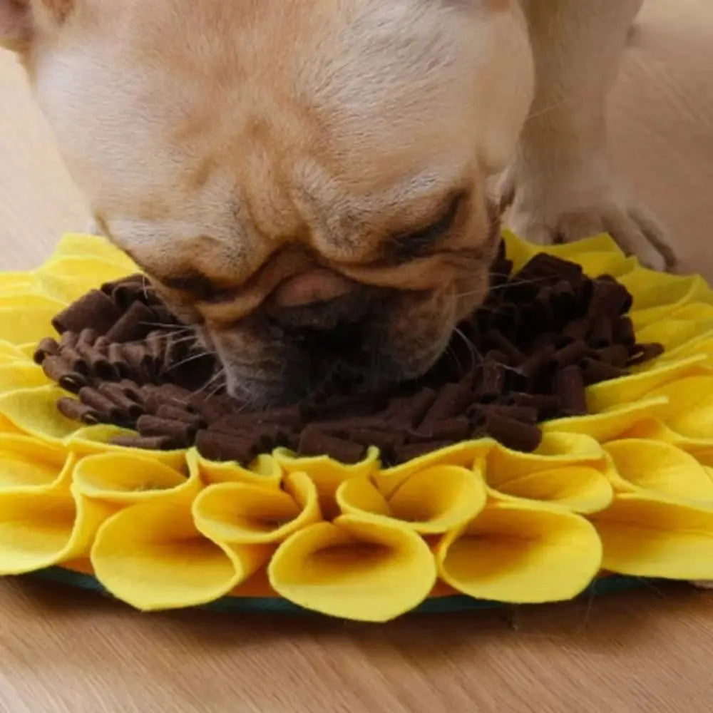 Sunflower Nosework Snuffle Mat