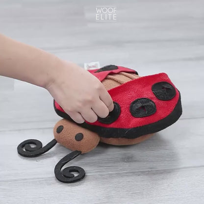 Ladybug Interactive Nosework Dog Toy