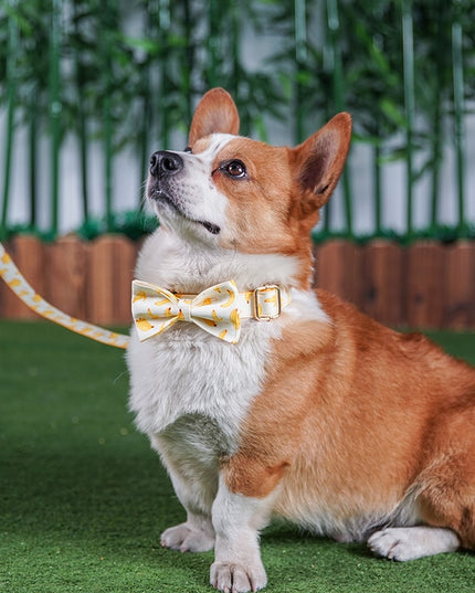 Banana Print Personalized Bow Tie Collar