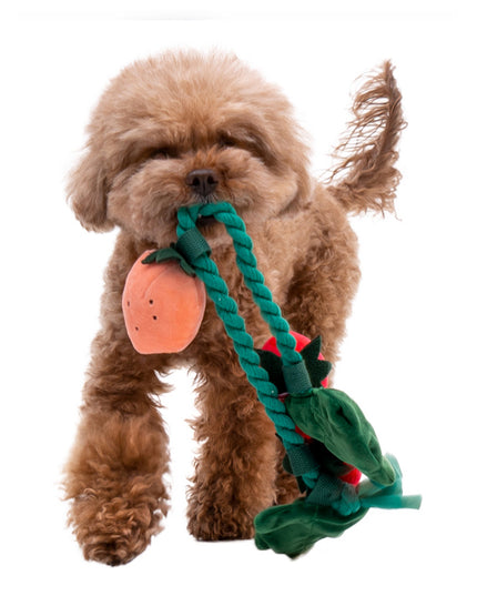 Strawberry Flower Pot Interactive Dog Toy