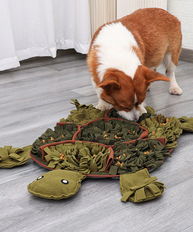Large Tortoise Nosework Snuffle Mat