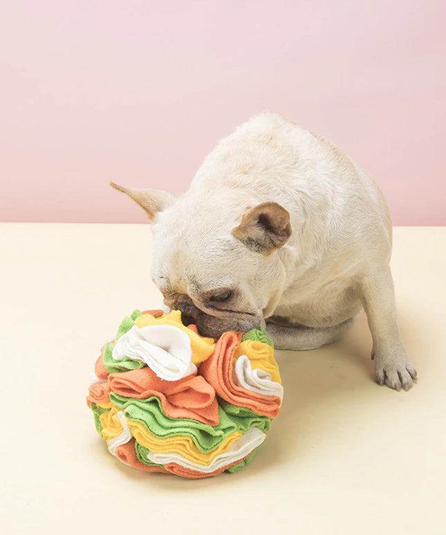Fleece Snuffle Ball Nosework Dog Toy