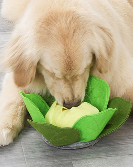 Cabbage Interactive Nosework Toy