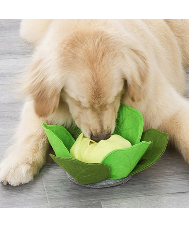 Cabbage Interactive Nosework Toy