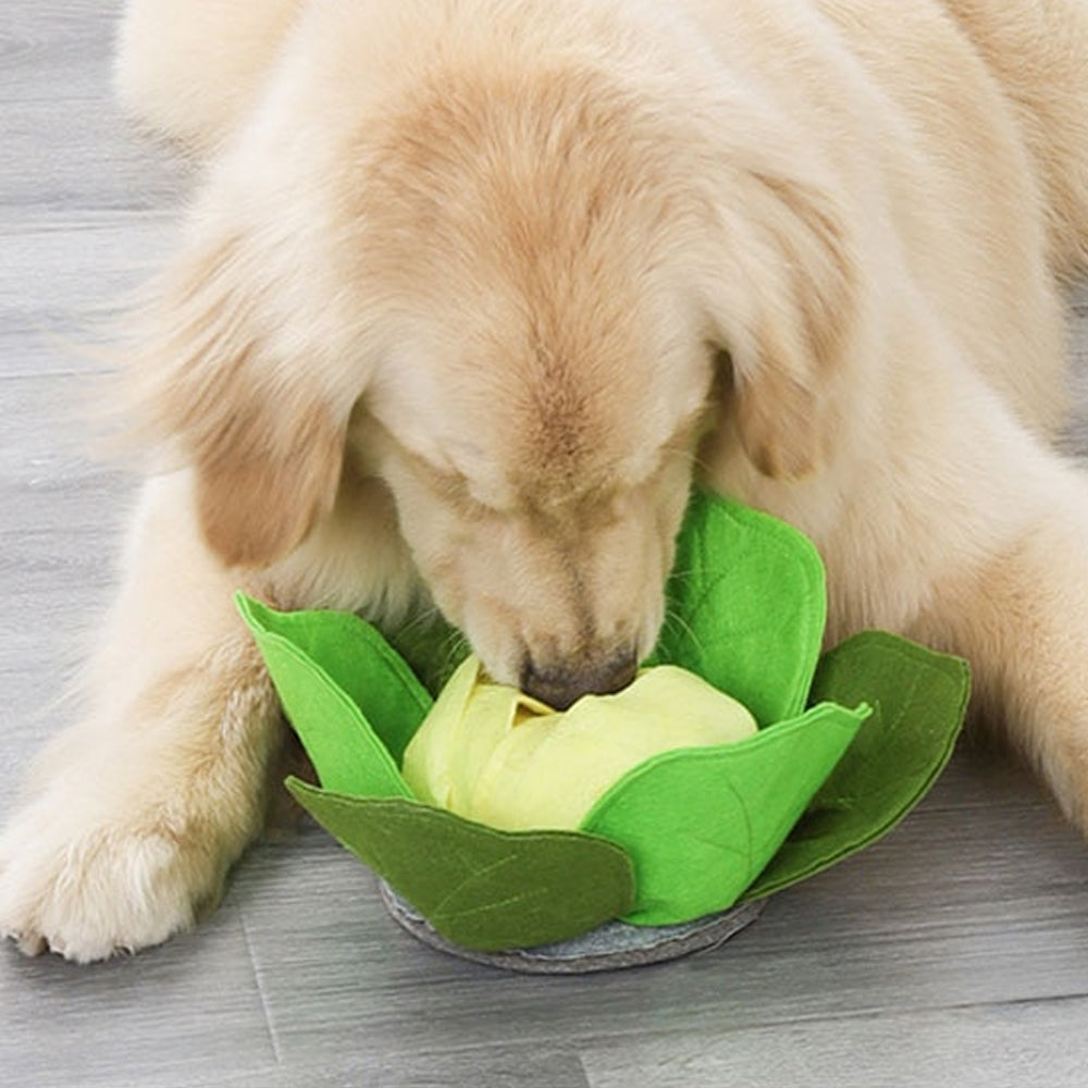 Cabbage Interactive Nosework Toy
