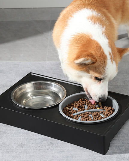 Multi-level Adjustable Elevated Dog Table and Bowls