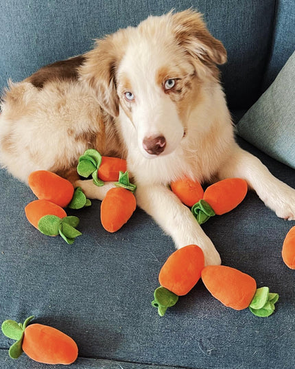 Carrot Crop Interactive Nosework Dog Toy