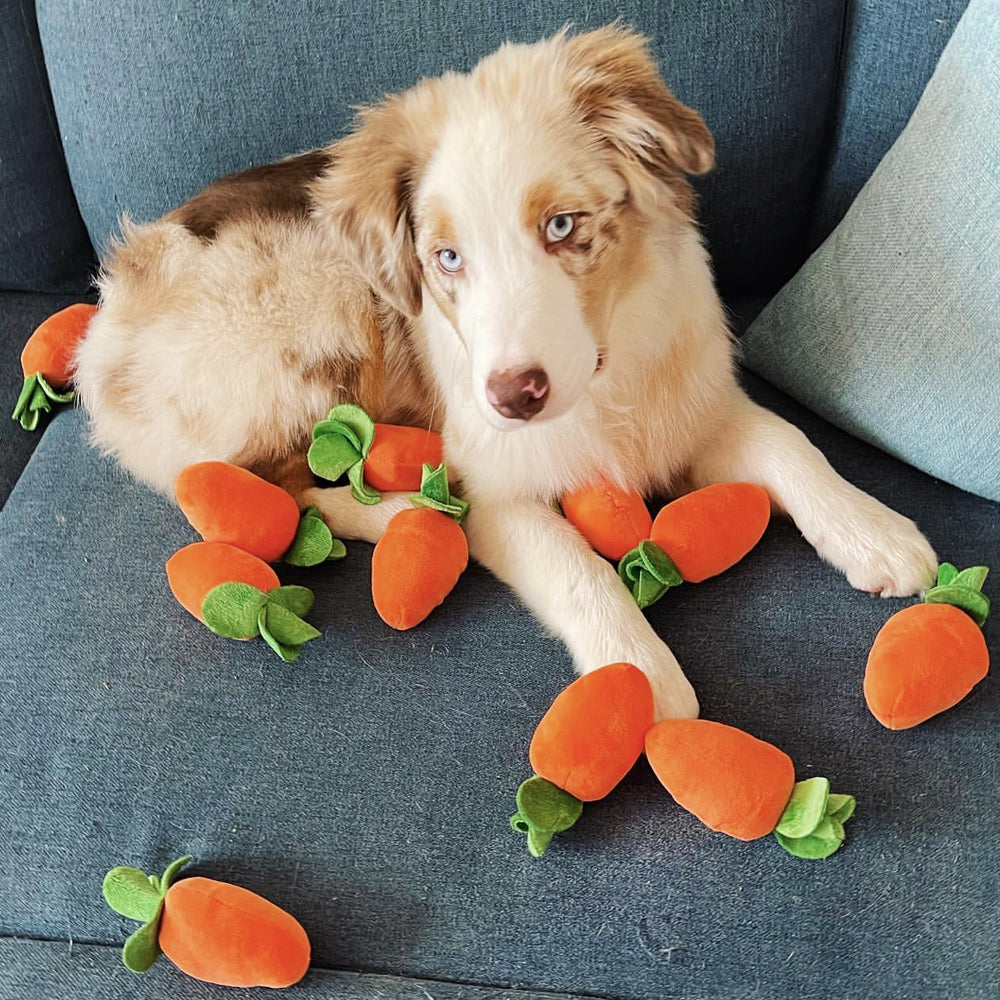 Carrot Crop Interactive Nosework Dog Toy