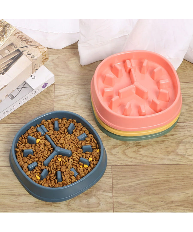 Clock Slow Feeder Bowl