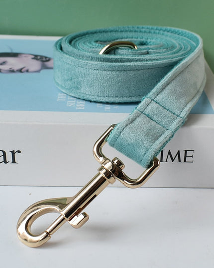 Teal Leash