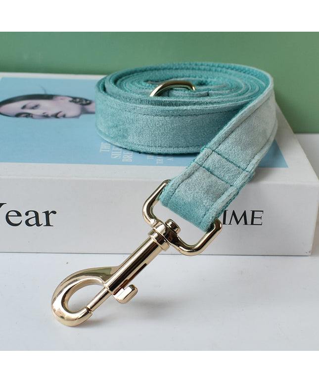 Teal Leash