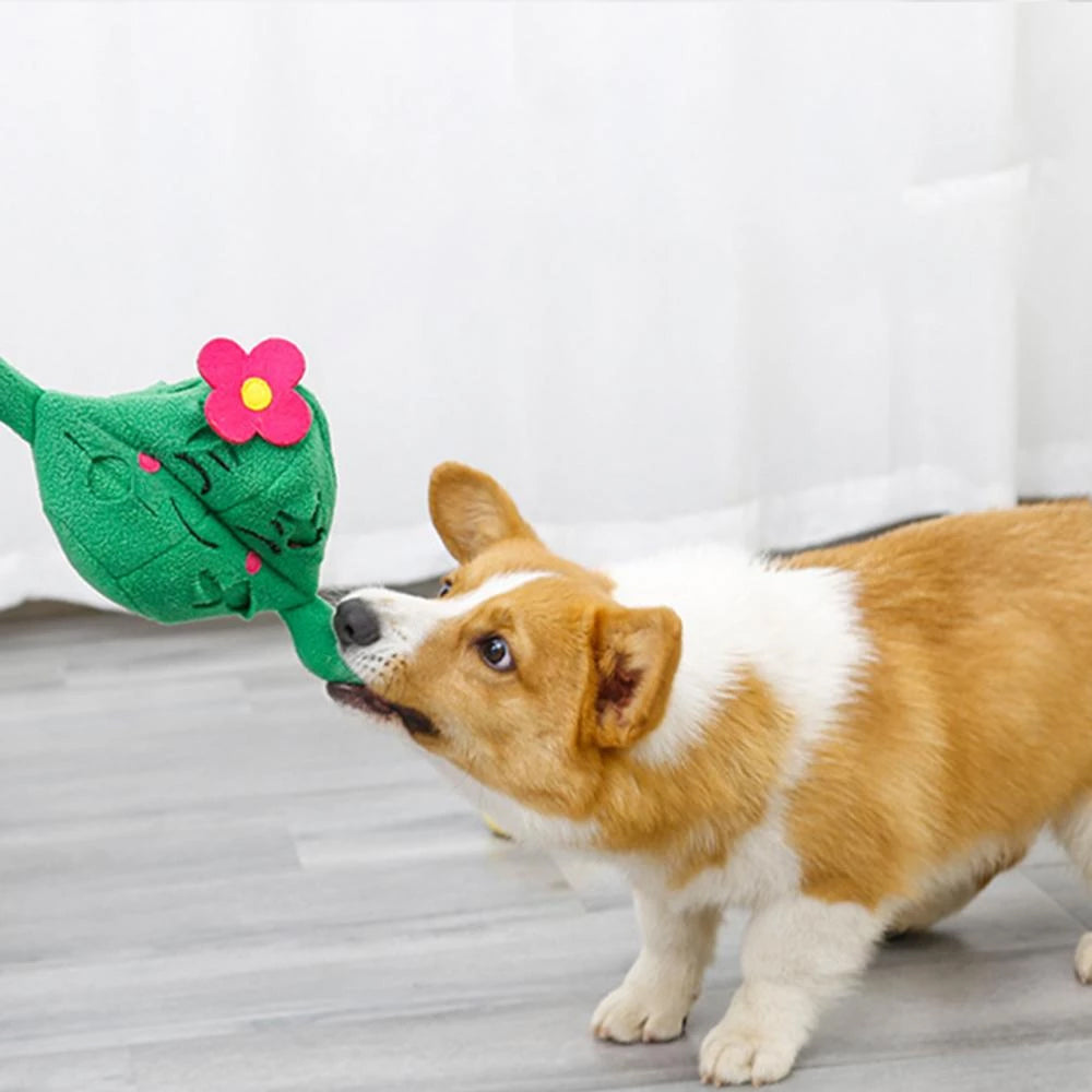 Cactus Interactive Nosework Dog Toy