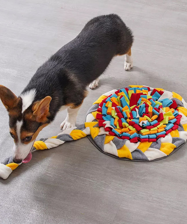 Lollipop Nosework Snuffle Mat