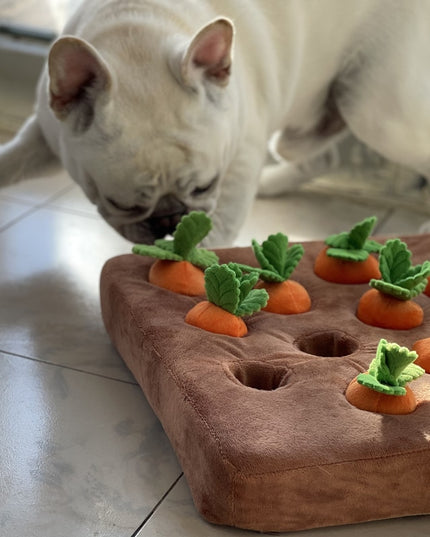 Carrot Crop Interactive Nosework Dog Toy