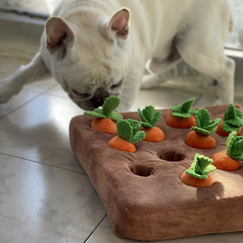 Carrot Crop Interactive Nosework Dog Toy