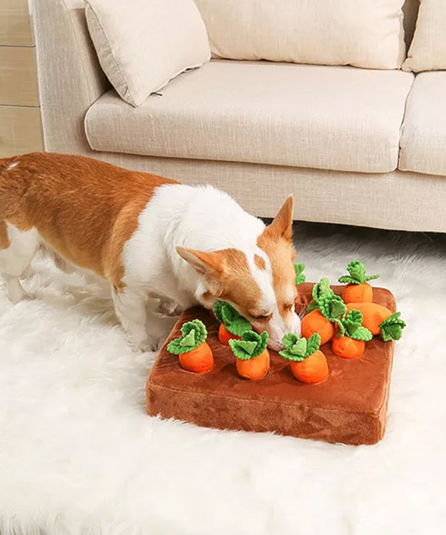 Carrot Crop Interactive Nosework Dog Toy