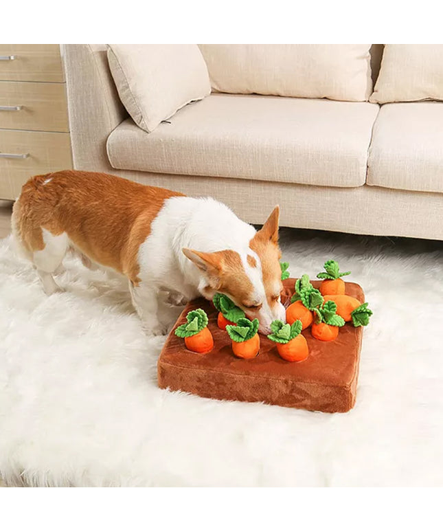 Carrot Crop Interactive Nosework Dog Toy