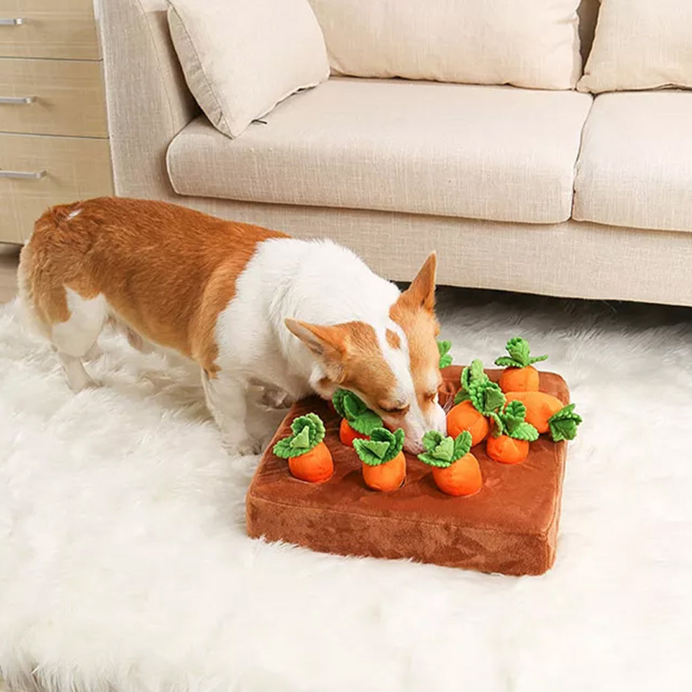 Carrot Crop Interactive Nosework Dog Toy