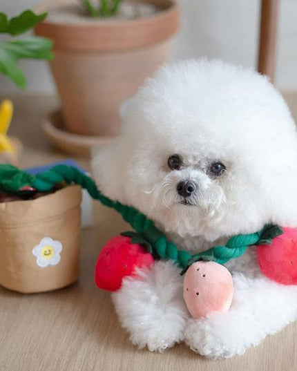 Strawberry Flower Pot Interactive Dog Toy