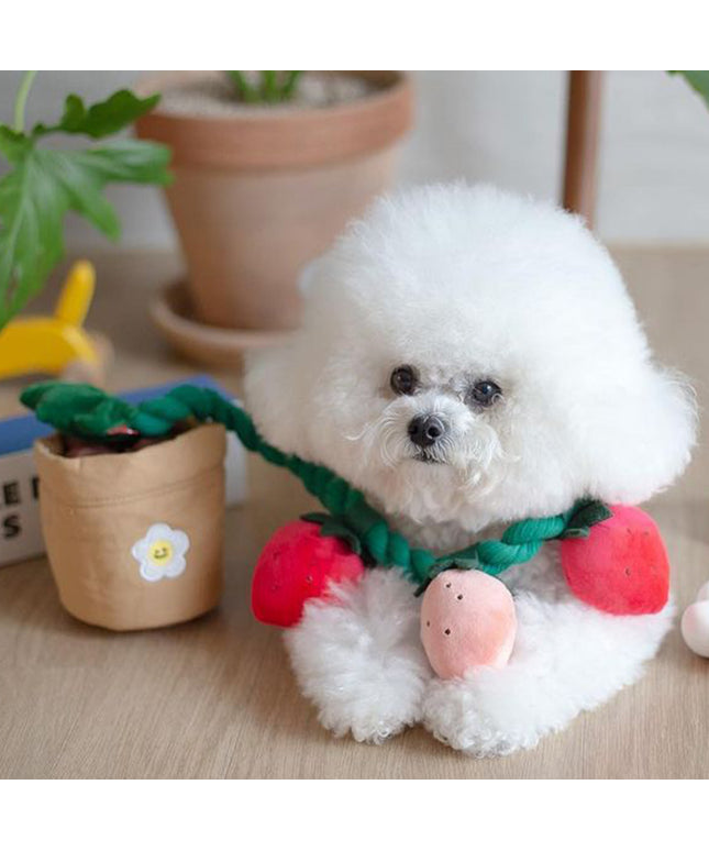 Strawberry Flower Pot Interactive Dog Toy
