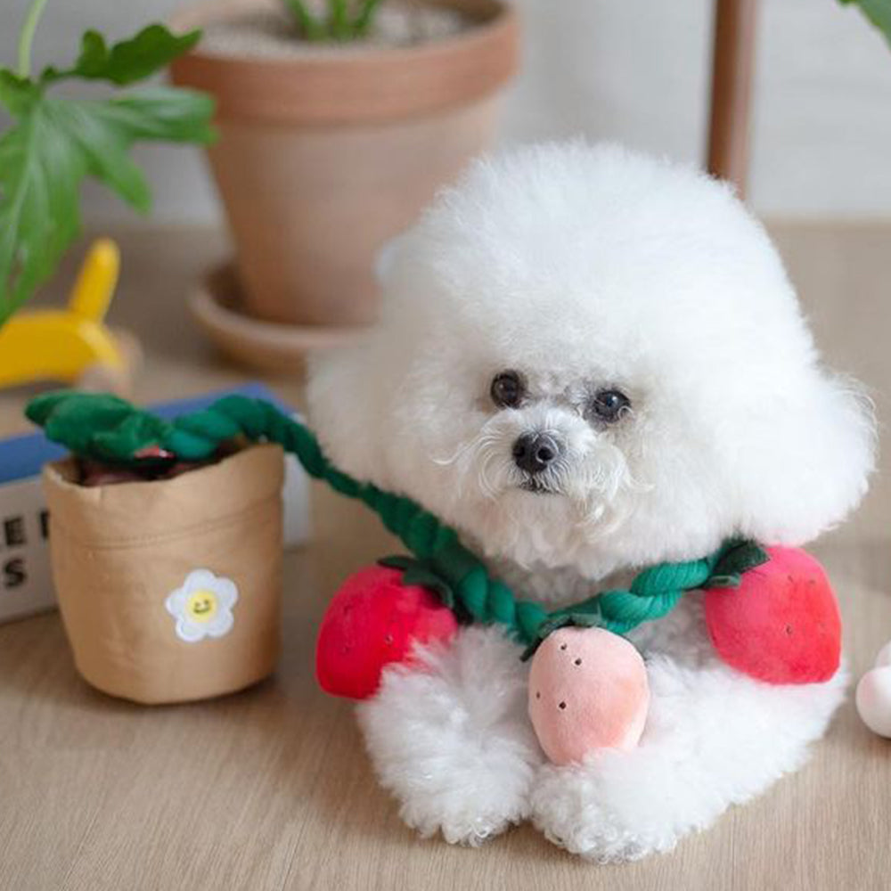 Strawberry Flower Pot Interactive Dog Toy