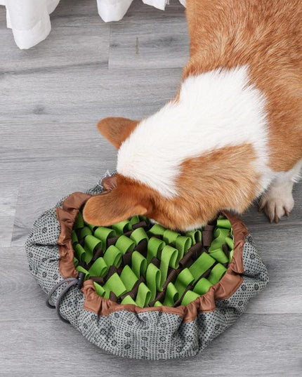 2-In-1 Snuffle Mat Bowl