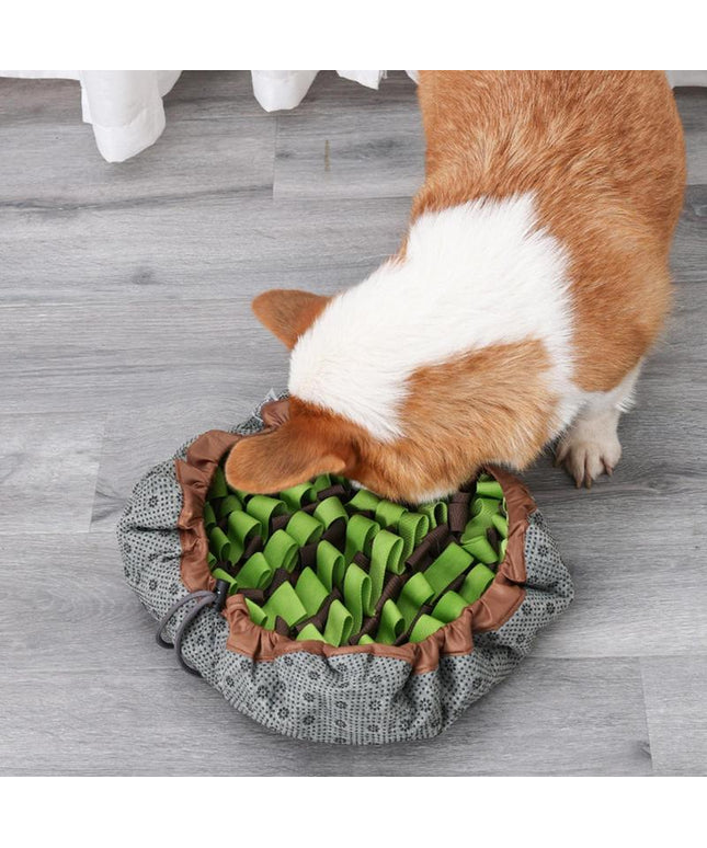 2-In-1 Snuffle Mat Bowl