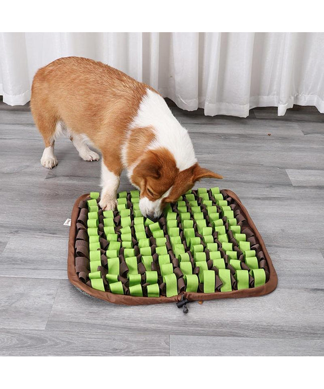 2-In-1 Snuffle Mat Bowl