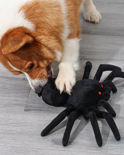 Spider Interactive Nosework Toy